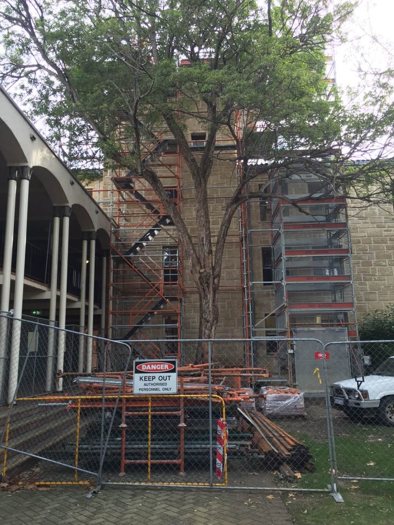 A picture of the UWA stair access with our scaffolding